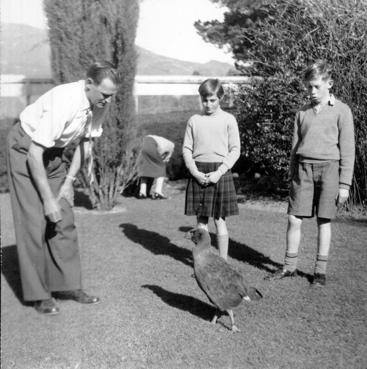 Ornithologist & children in garden with a takahē at Mount Bruce.