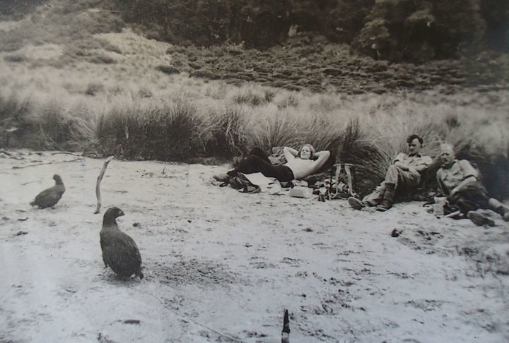 1948 photo of 3 men with 2 rediscovered takahē, Lake Orbell.