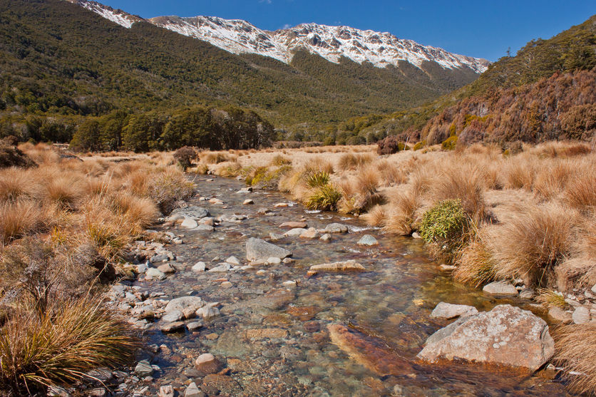Landscape view stream looking up at the Murchison Mountains, NZ.