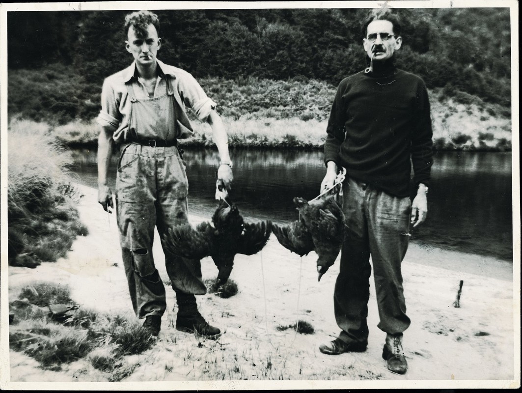 Dr Geoffrey Orbell and Neil McCrostie holding 4 takahē in 1948.