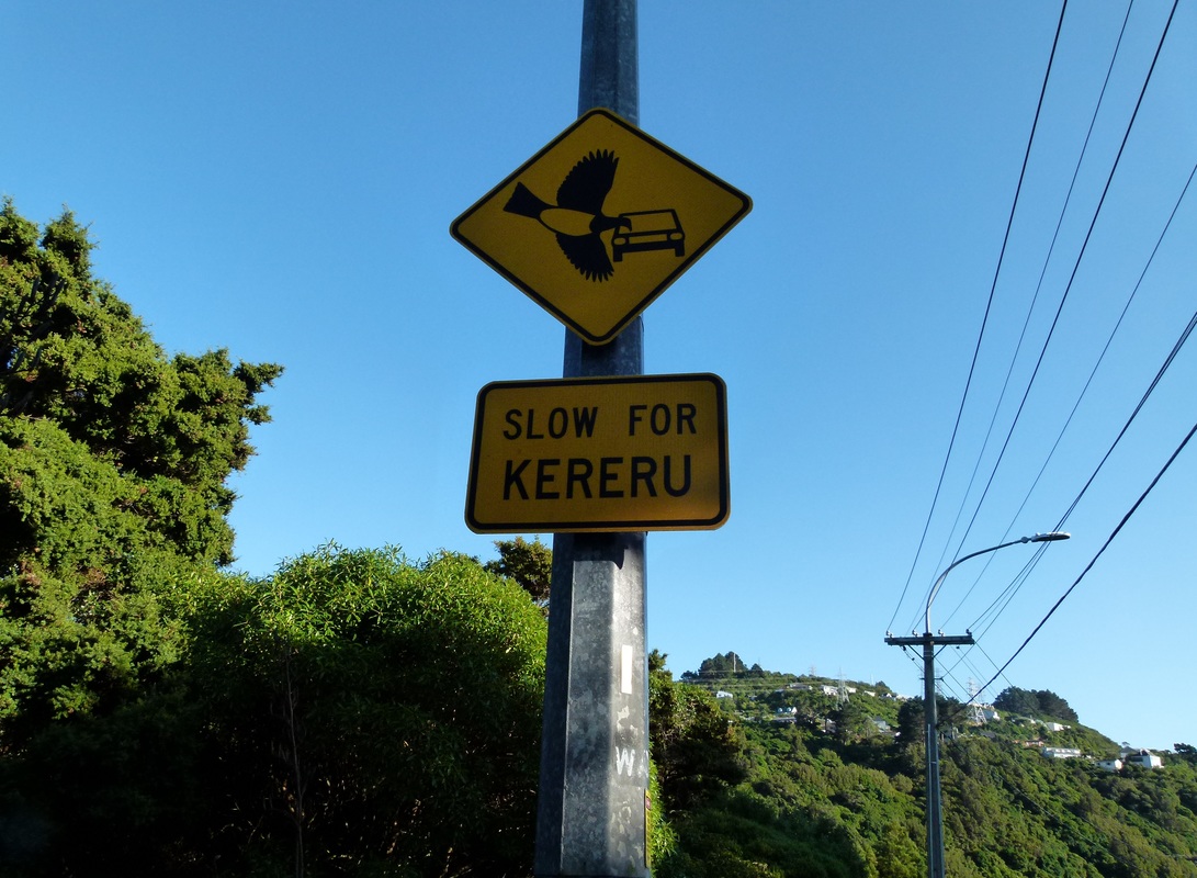 'Slow for kererū' road sign in Wellington, New Zealand. 
