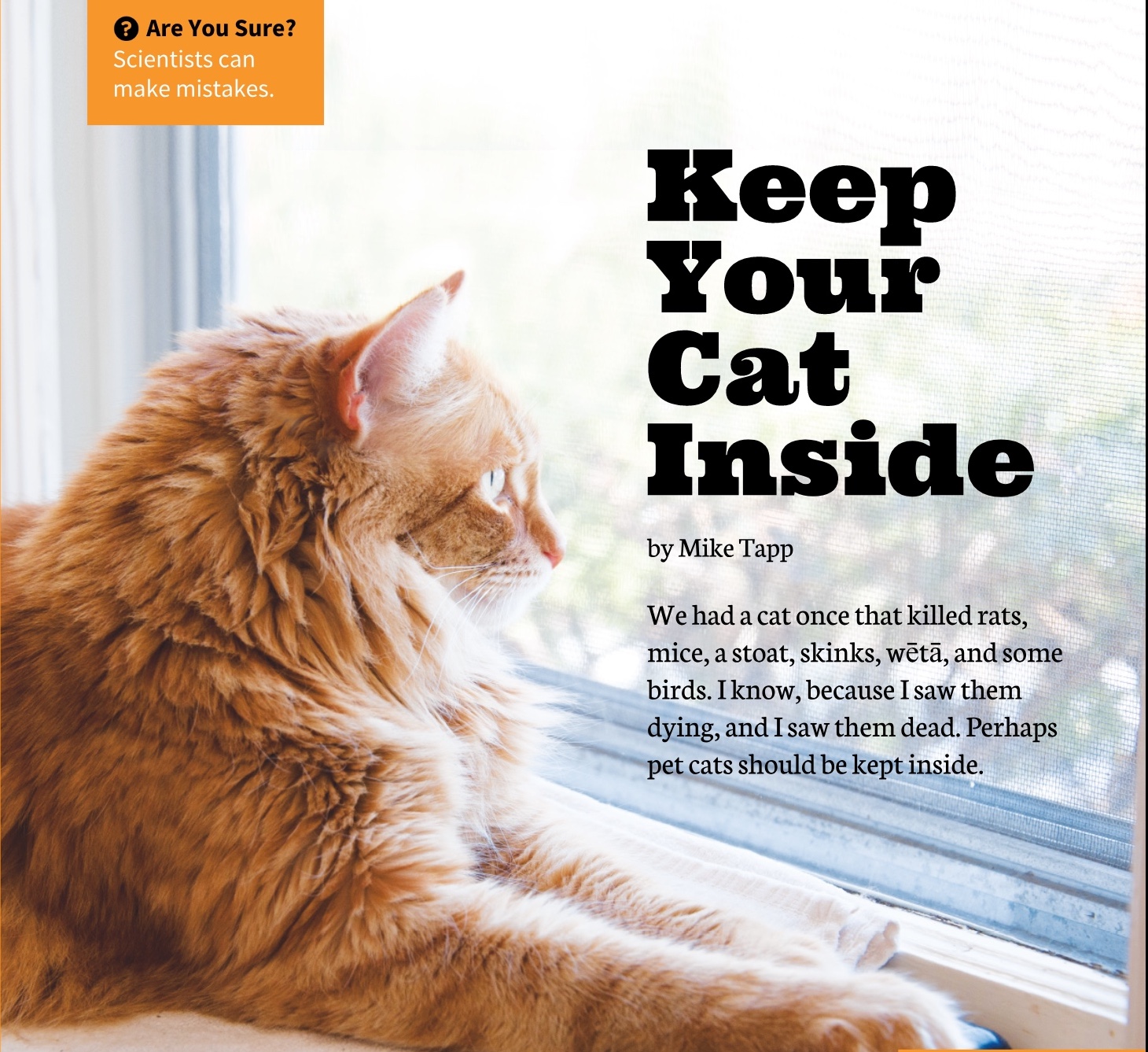 Keep your cat inside — Science Learning Hub