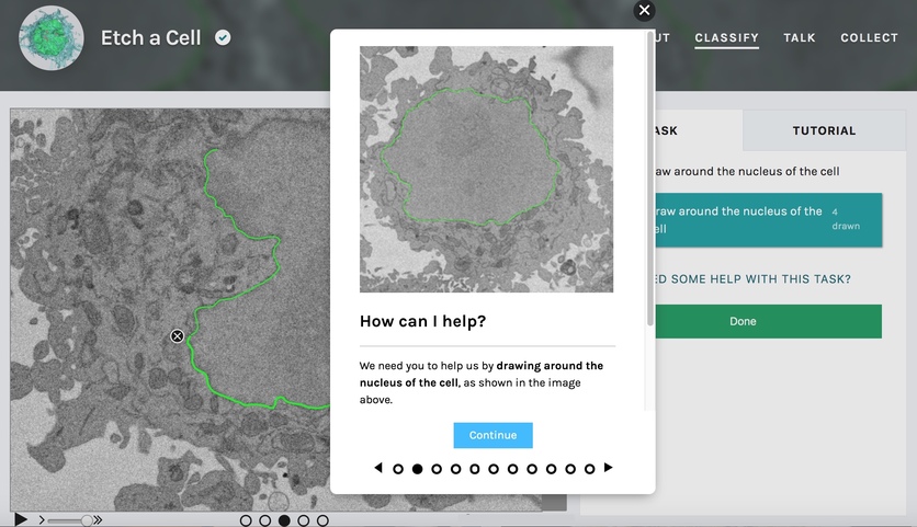 Screengrab from Etch a Cell citizen science project.