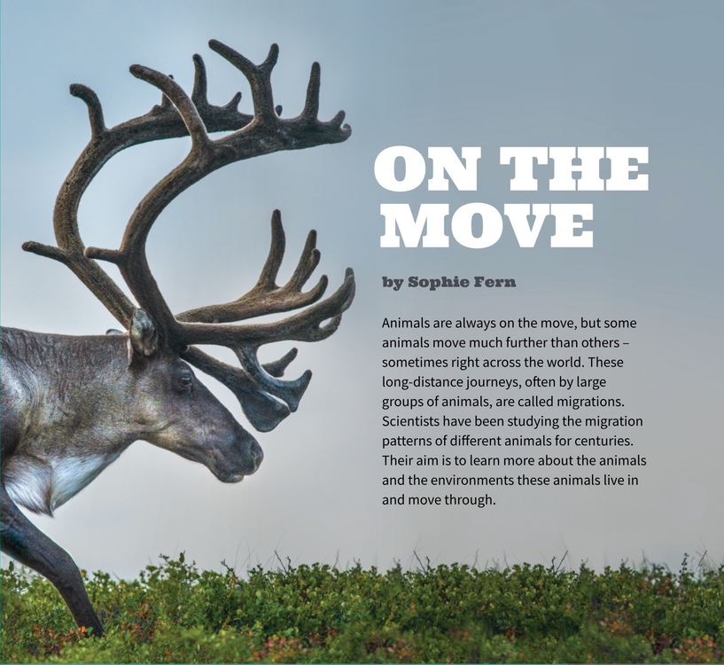 Cover of 2016 Level3 Connected journal article: On the move