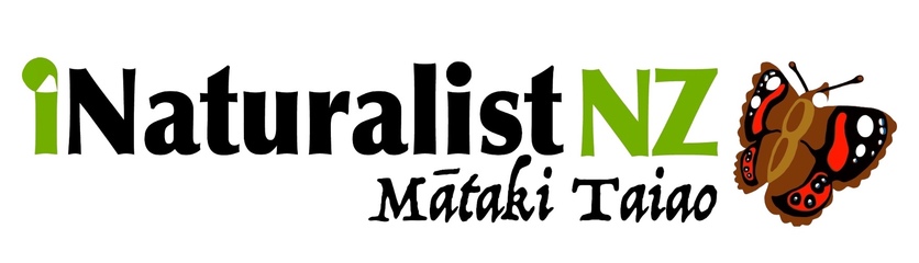 iNaturalist NZ – Mātaki Taiao logo.