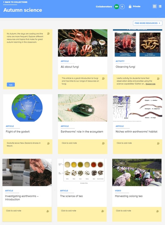 Screengrab of the Autumn science Science Learning Hub collection