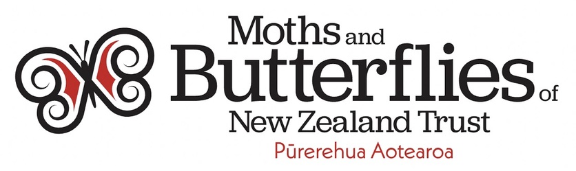 Logo of the Moths and Butterflies of New Zealand Trust