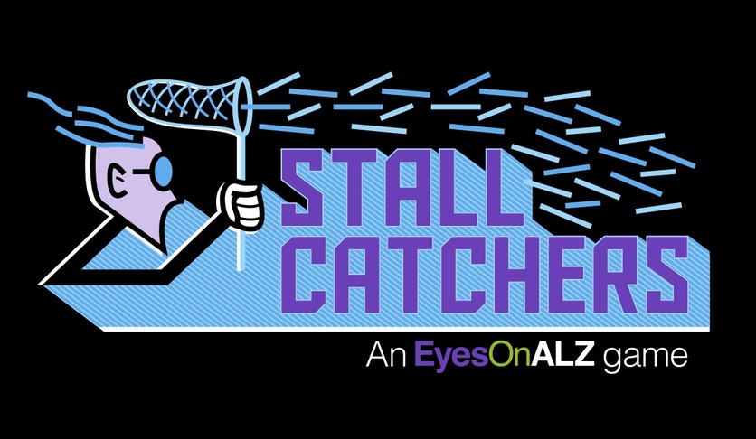 Stall Catchers logo.