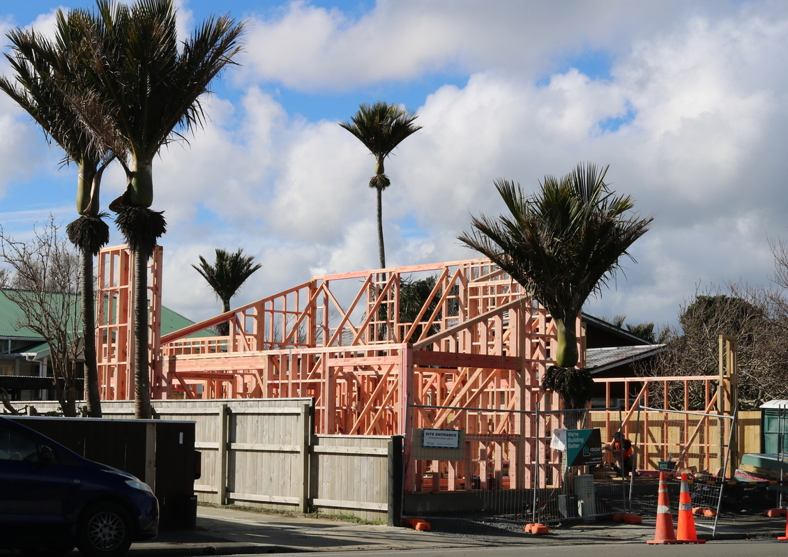 New Zealand home under construction with palm trees