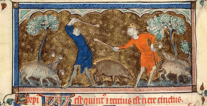 Men knocking down acorns to feed swine, the Queen Mary Psalter