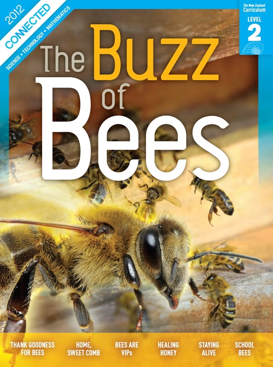 Cover of the 2012 level 2 Connected journal ‘The buzz of bees’.
