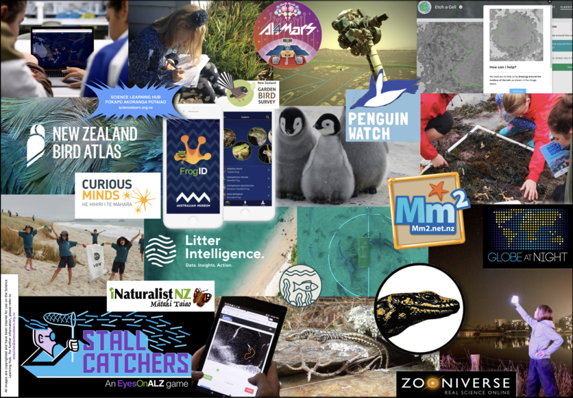 Collection of images: different citizen scientists and projects