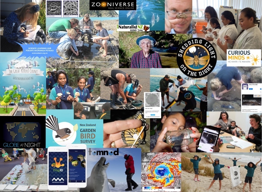 Citizen science collage — Science Learning Hub