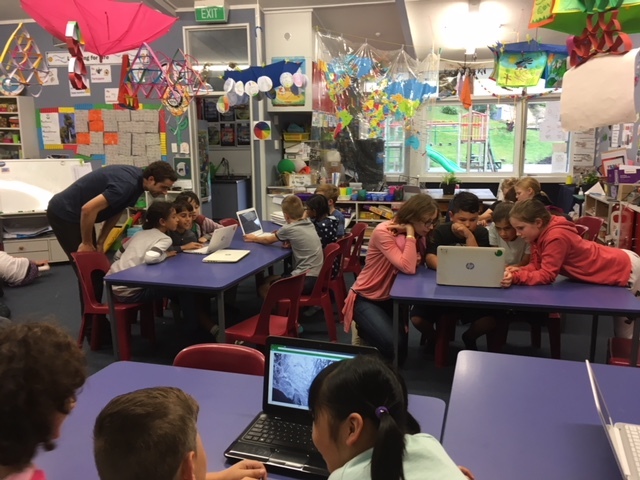 Students using classroom computers on a citizen science project