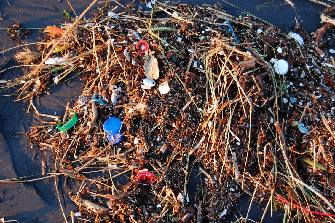 Plastic debris on the beach. 