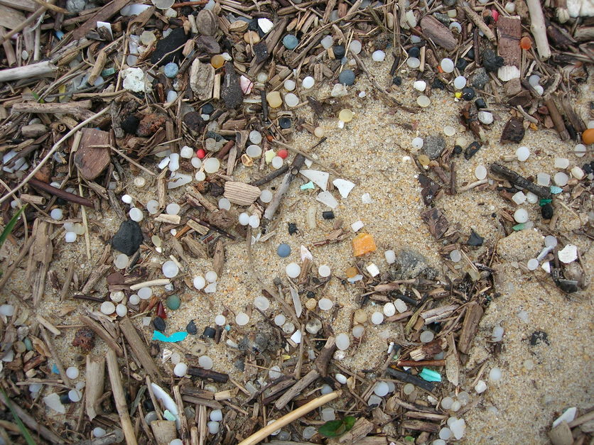 range of different microplastics washed up on a beach