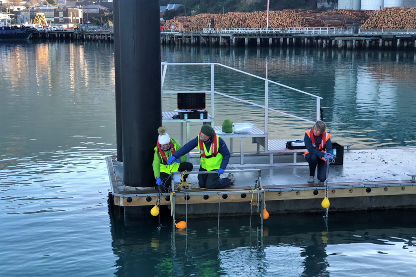 3 scientists monitoring microplastics in Lyttelton Harbour, NZ