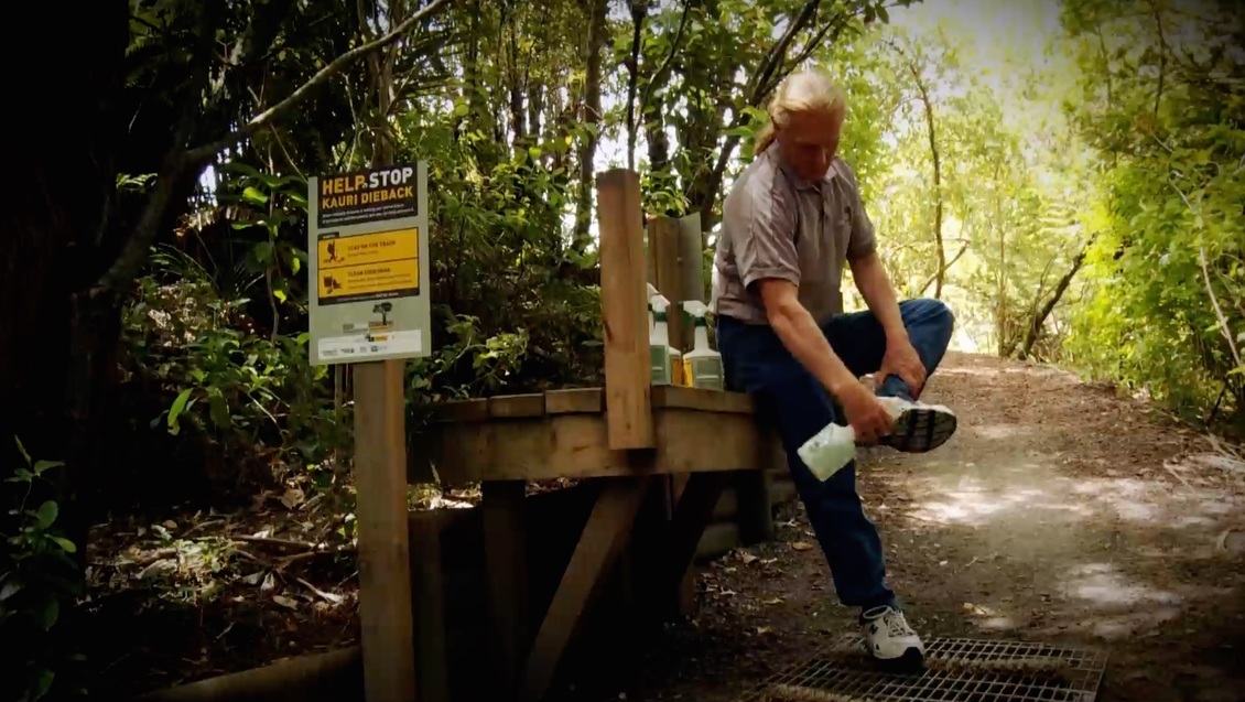 Man disinfects his shoes at a kauri dieback cleaning station.