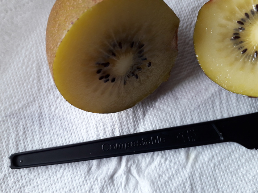 Kiwifruit and a black plastic knife on white.