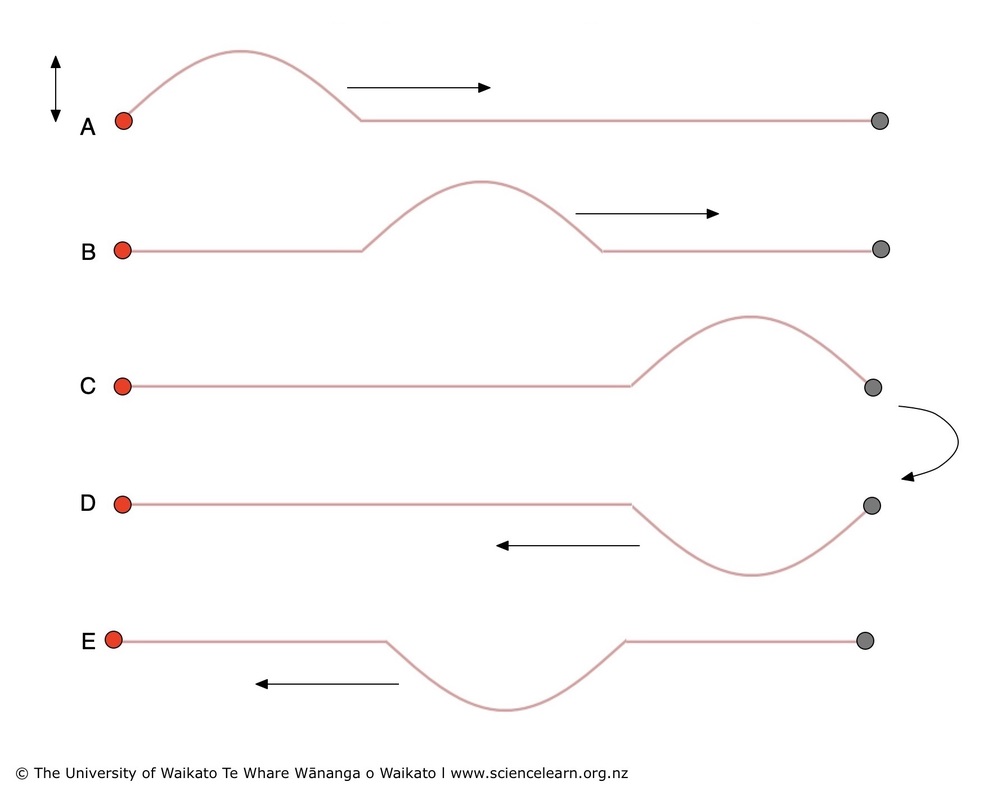 Single pulse travelling down a rope diagram.