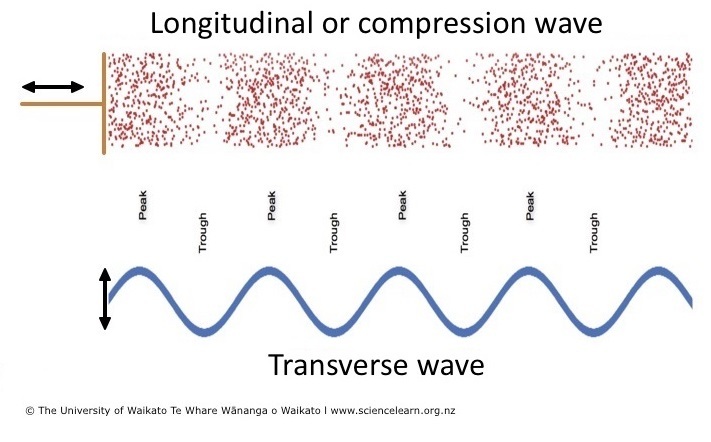 Longitudinal And Transverse Waves Science Learning Hub