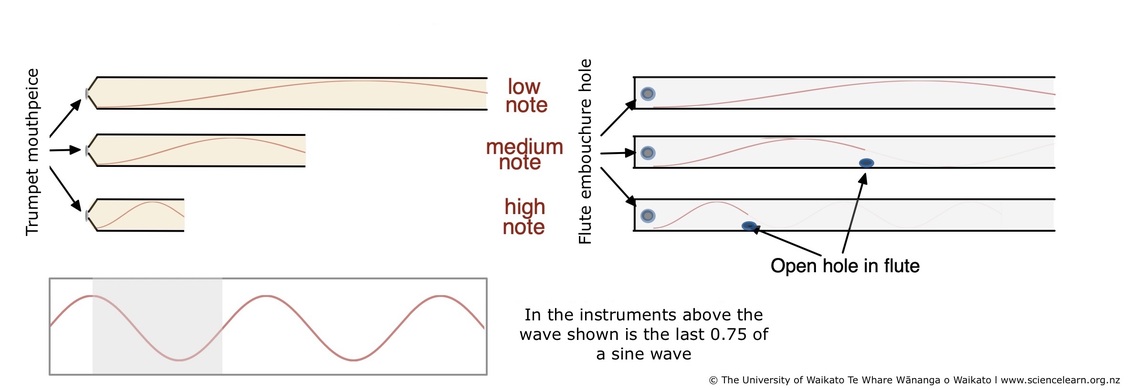 Diagram showing standing waves in a trumpet and flute.
