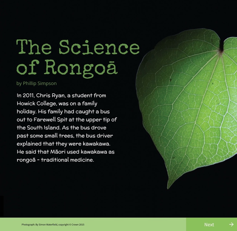 Cover page from the Connected article: The Science of Rongoā.