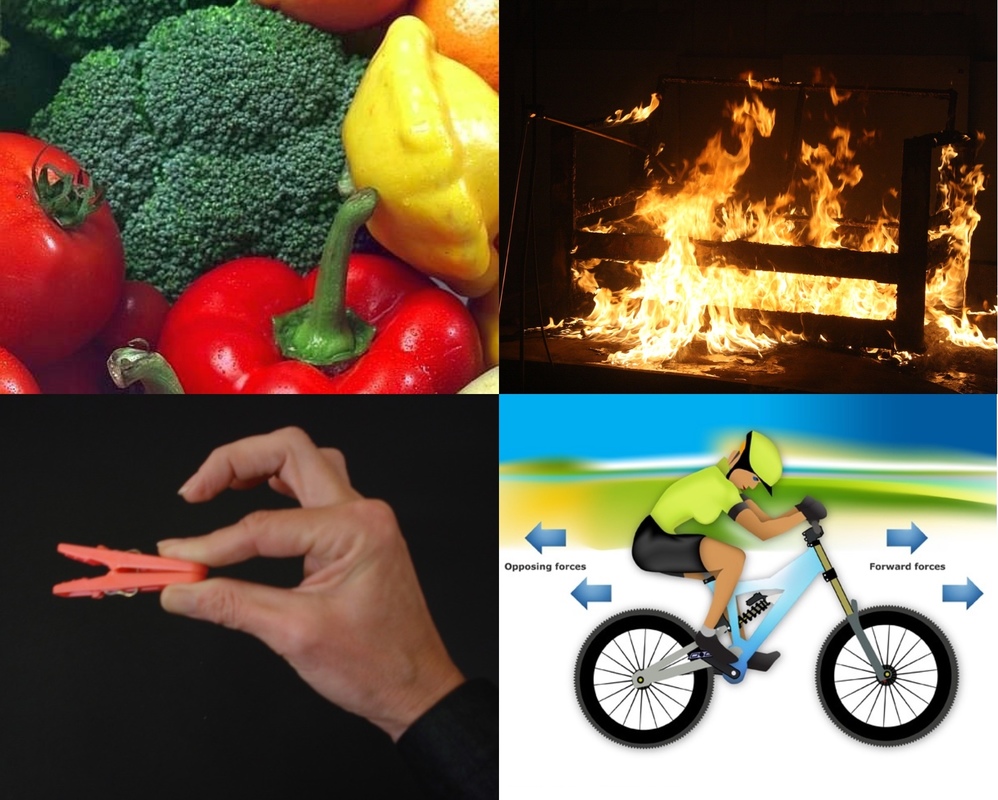 Energy conservation and energy transfer — Science Learning Hub