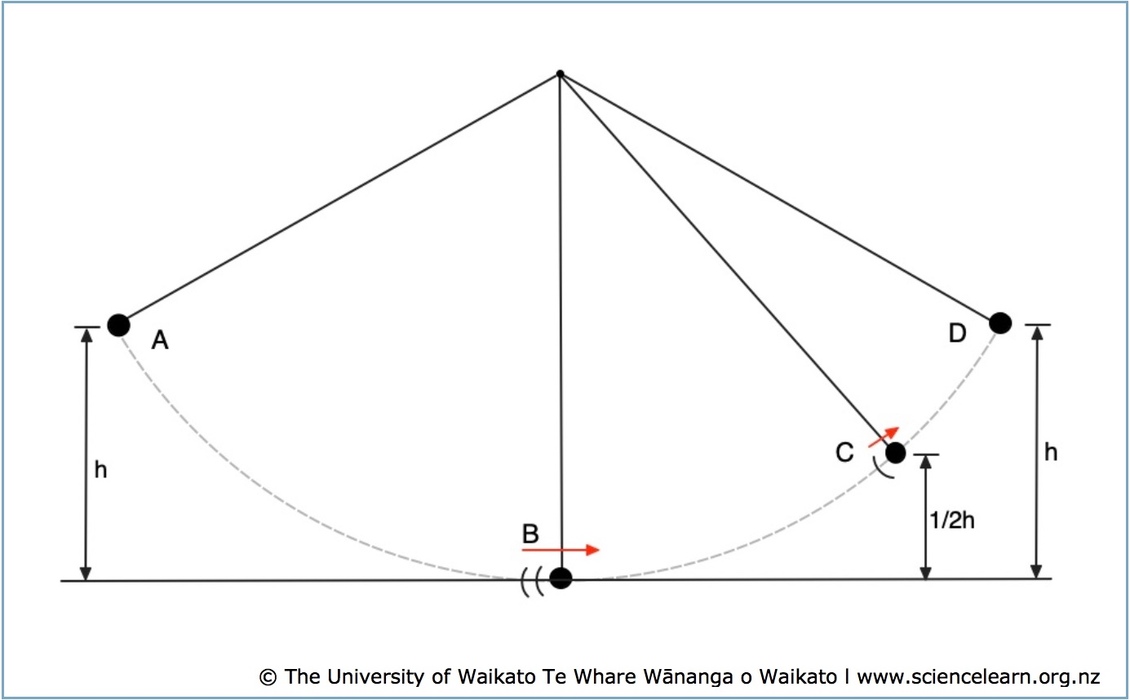 Pendulum example of energy transfer — Science Learning Hub
