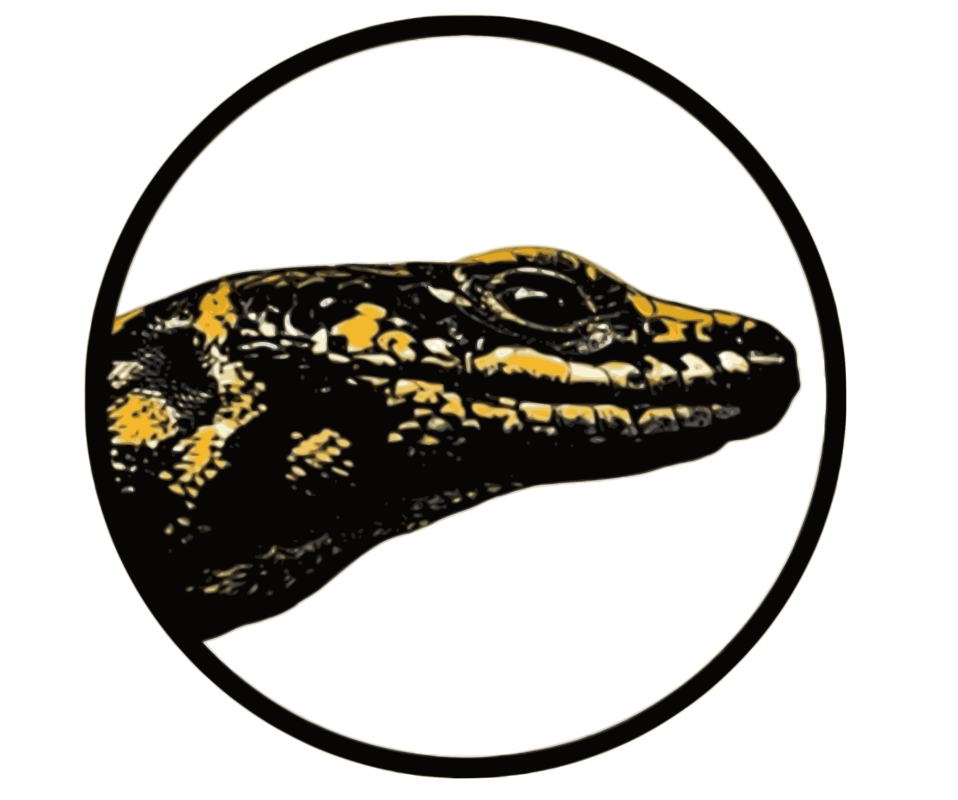 Logo of the Skink Spotter NZ citizen science project