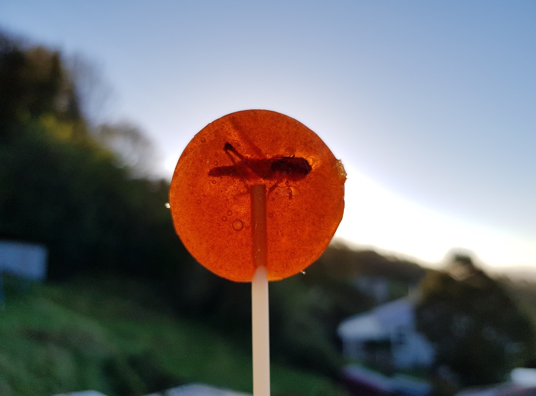 Orange lollipop with a locust inside it.