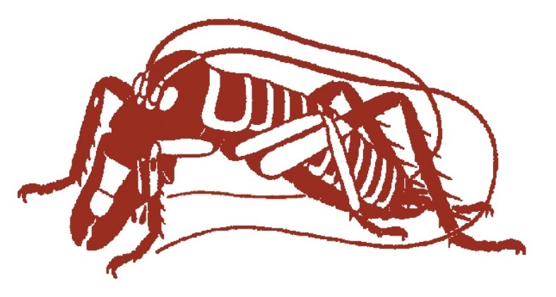 Logo of The Entomological Society of New Zealand (weta). 