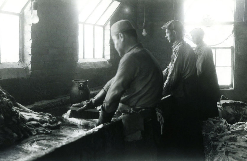 Old photograph: workers 'carroting' or treating fur with mercury