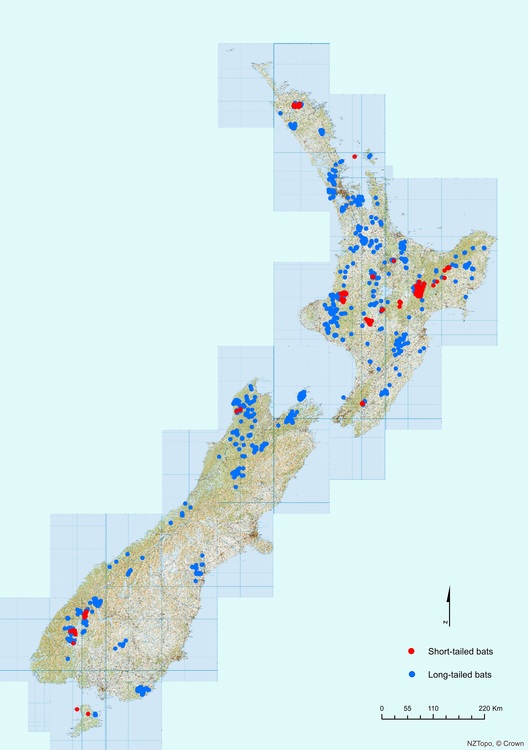 Map of bat distribution in New Zealand 2008–2019.