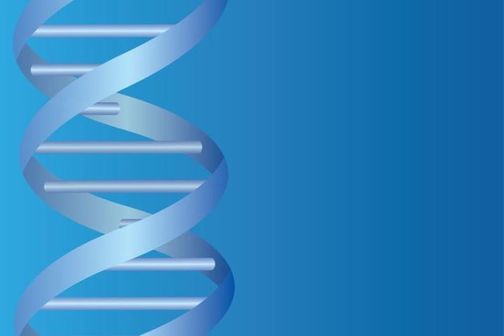 Double-stranded DNA.