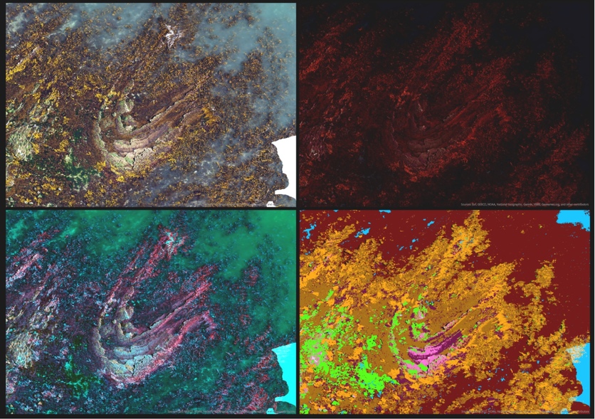 4 different multiband images of the Kaikōura coast, New Zealand