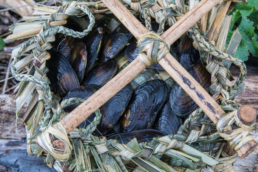 Kete /flax basket holding kākahi/freshwater mussels.