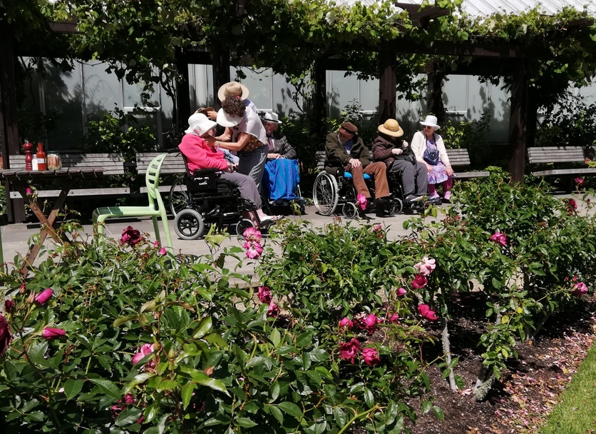 Group of senior citizens in the sunshine at the Botanic Gardens.