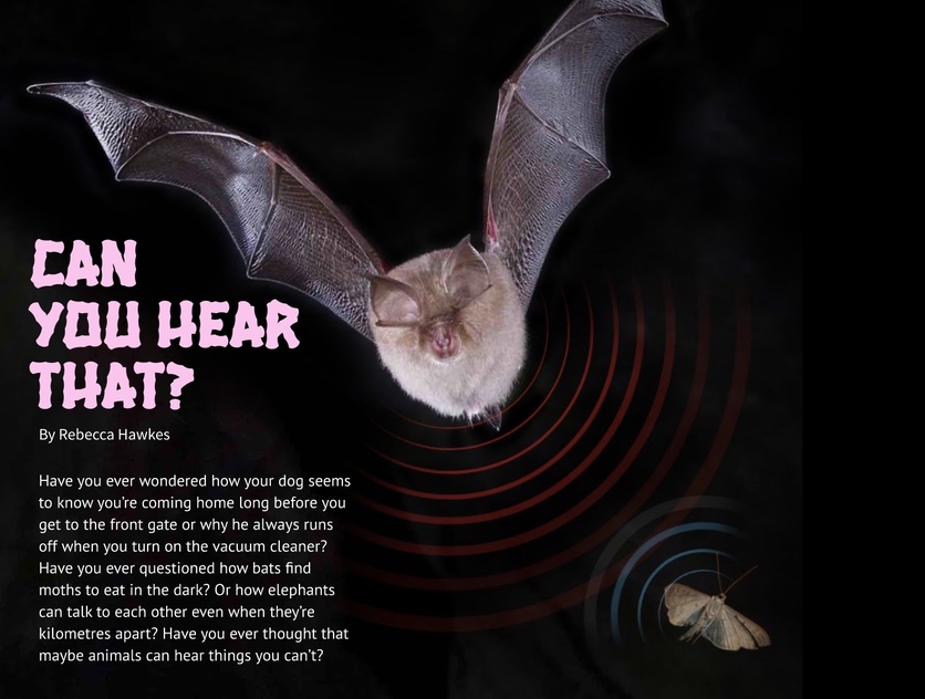 Cover of 2016 article 'Can you hear that' in a Connected journal
