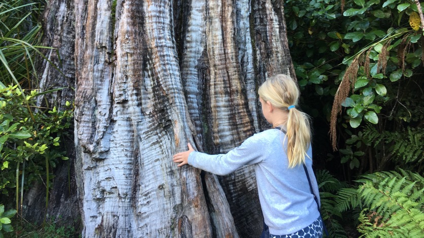 Young girl and a large tree trunk.