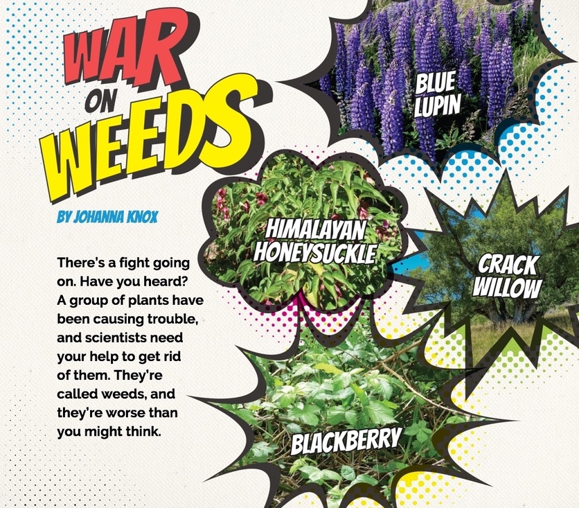 Cover page from 2018 L2 Connected article: The war on weeds