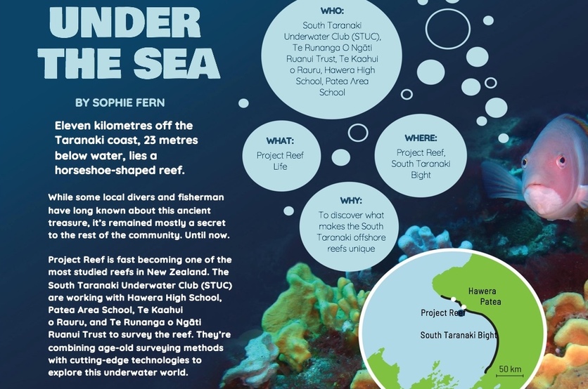 Cover from 2018 level 4 Connected journal article: Under the sea