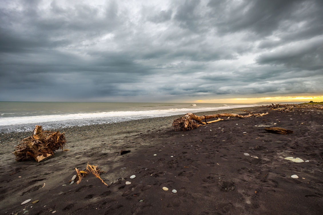 Debris washed up on Hokitika Beach, West Coast, New Zealand