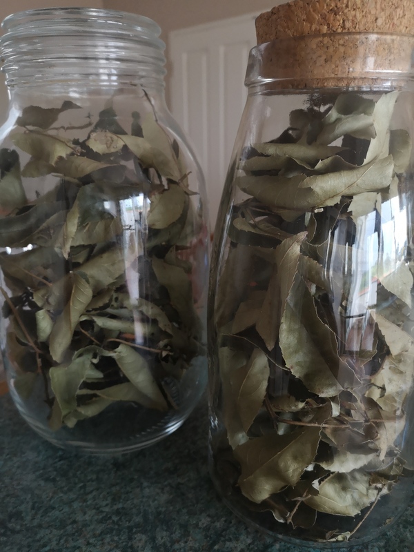 Dried Tātarāmoa leaves in two glass jars.