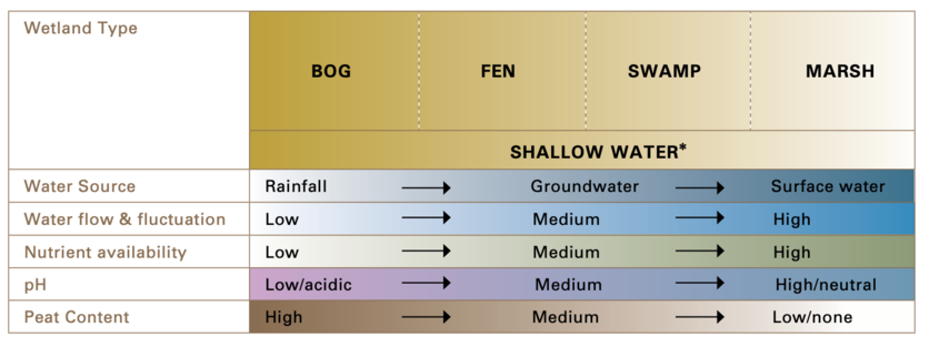 Table showing Environmental characteristics of wetland type