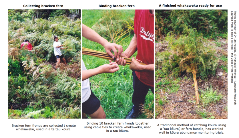 Constructing a whakaweku (bracken fern bundle) instructions