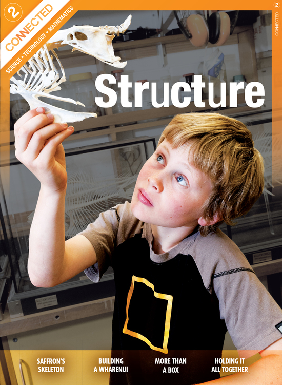 Cover of 2011 Connected Level 2 journal: 'Structure'