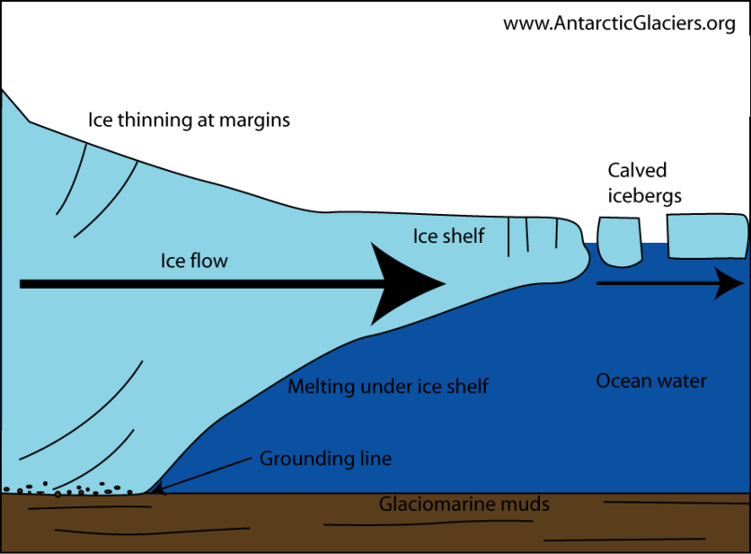 Calving ice shelf in Antarctica diagram.