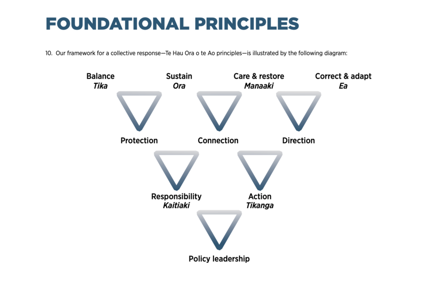 Foundational principles of He Waka Eke Noa diagram.