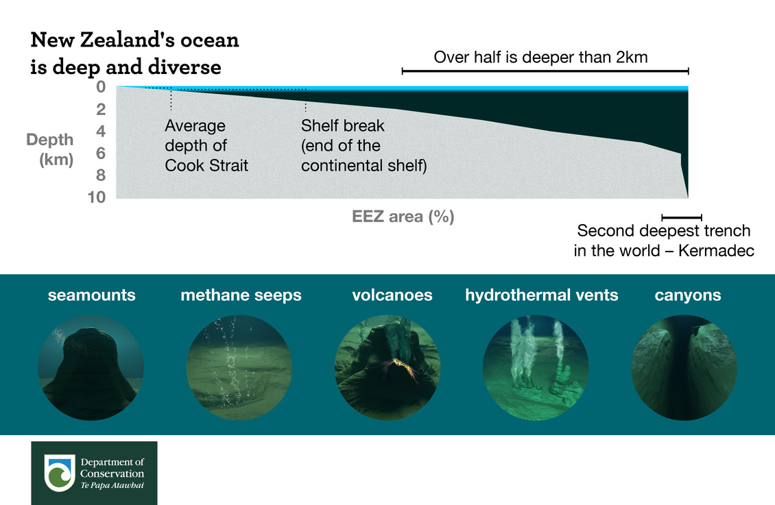 New Zealand's ocean is deep and diverse infographic.